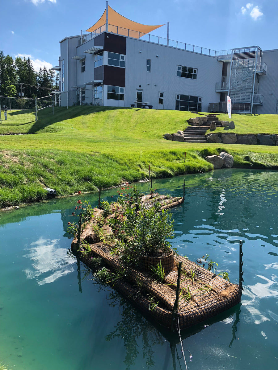 Les fontaines décoratives pour étangs et lacs Kasco Marine I Etang