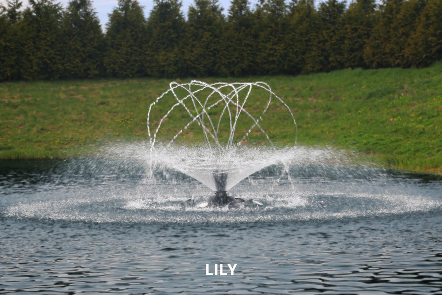 Charger l'image dans la galerie, Fontaines flottantes Aqua Control® multi-buses