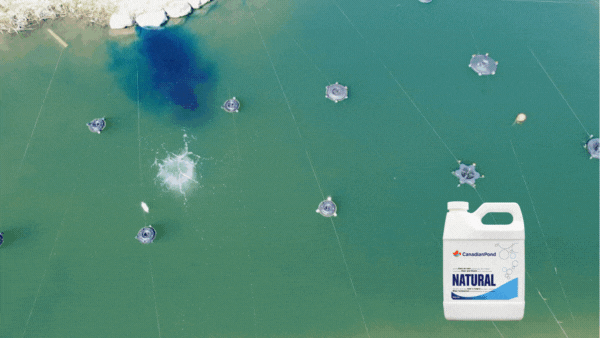 Load image into Gallery viewer, CanadianPond Concentrated Liquid Aquatic Dye