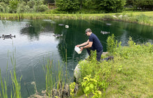 Load image into Gallery viewer, Bacterius® C, for organic matter & muck