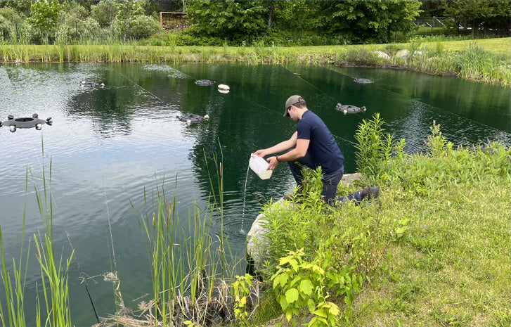 Load image into Gallery viewer, Bacterius® C, for organic matter & muck