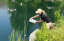 Charger l'image dans la galerie, Bacterius® POND, nitrification et contrôle de la charge organique