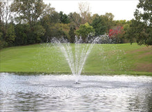 Charger l'image dans la galerie, 1 HP - 120V / 50 ft fountain demonstration