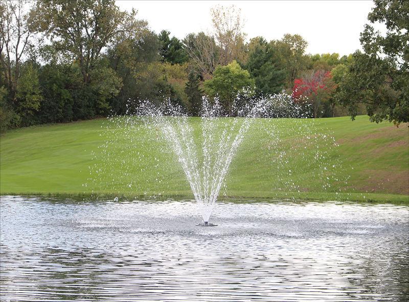 Charger l'image dans la galerie, 1 HP - 120V / 50 ft fountain demonstration