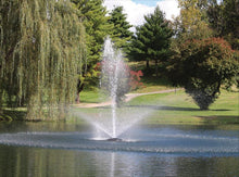 Charger l'image dans la galerie, 1 HP - 120V / 50 ft fountain demonstration