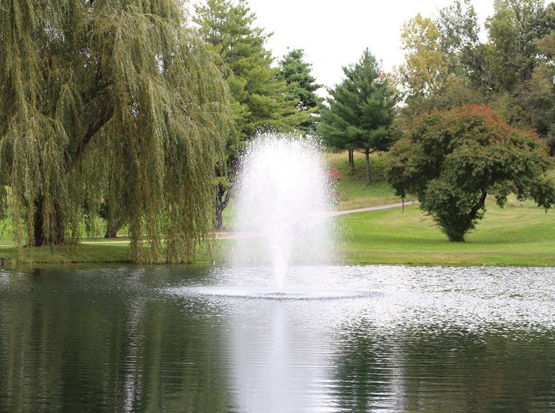 Charger l'image dans la galerie, 1 HP - 120V / 200 ft fountain demonstration