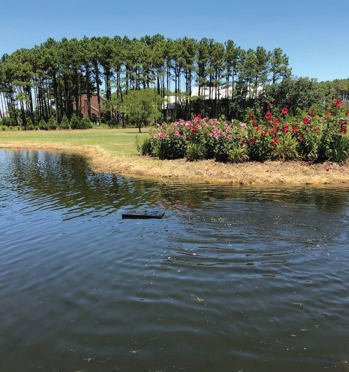 Load image into Gallery viewer, Kaco float mount in water