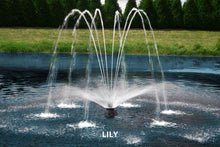 Load image into Gallery viewer, Aqua Control® Fusion Multi-Nozzle Floating Fountains
