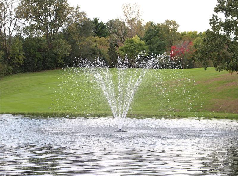 Load image into Gallery viewer, 1 HP - 120V / 50 ft fountain demonstration
