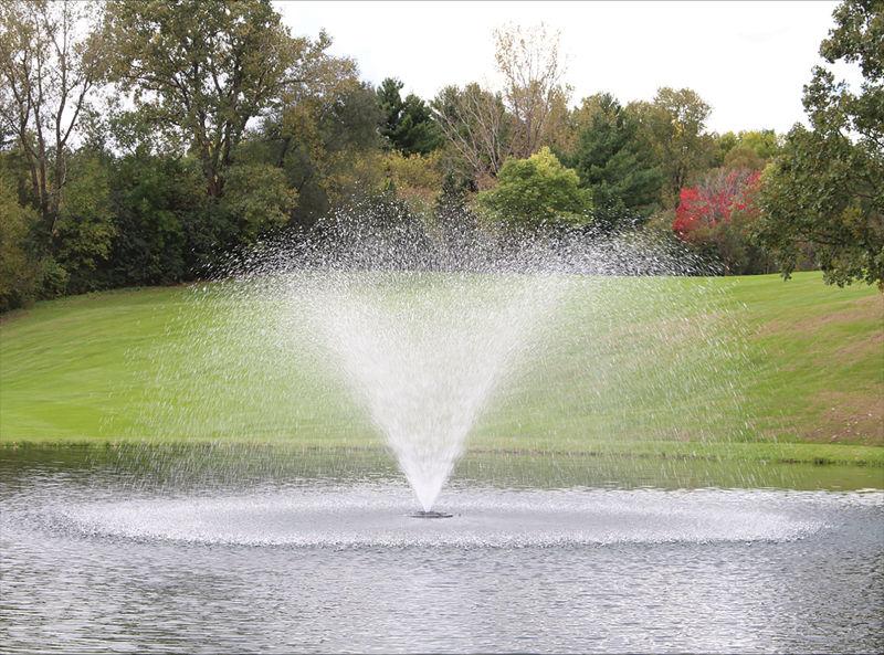 Load image into Gallery viewer, 1 HP - 120V / 150 ft fountain demonstration
